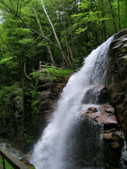 Franconia Notch State Park, north of Lincoln, NH