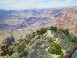 The Colorado River as seen from the Desert View Watchtower