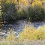 Near South Forks, CO