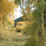 Near South Forks, CO