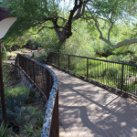 Desert Botanical Garden, Phoenix