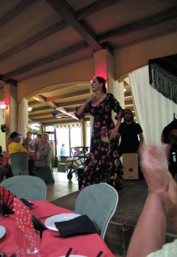 Flamenco Dancer at La Granja