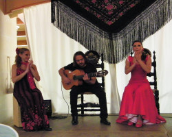 Flamenco Dancer at La Granja