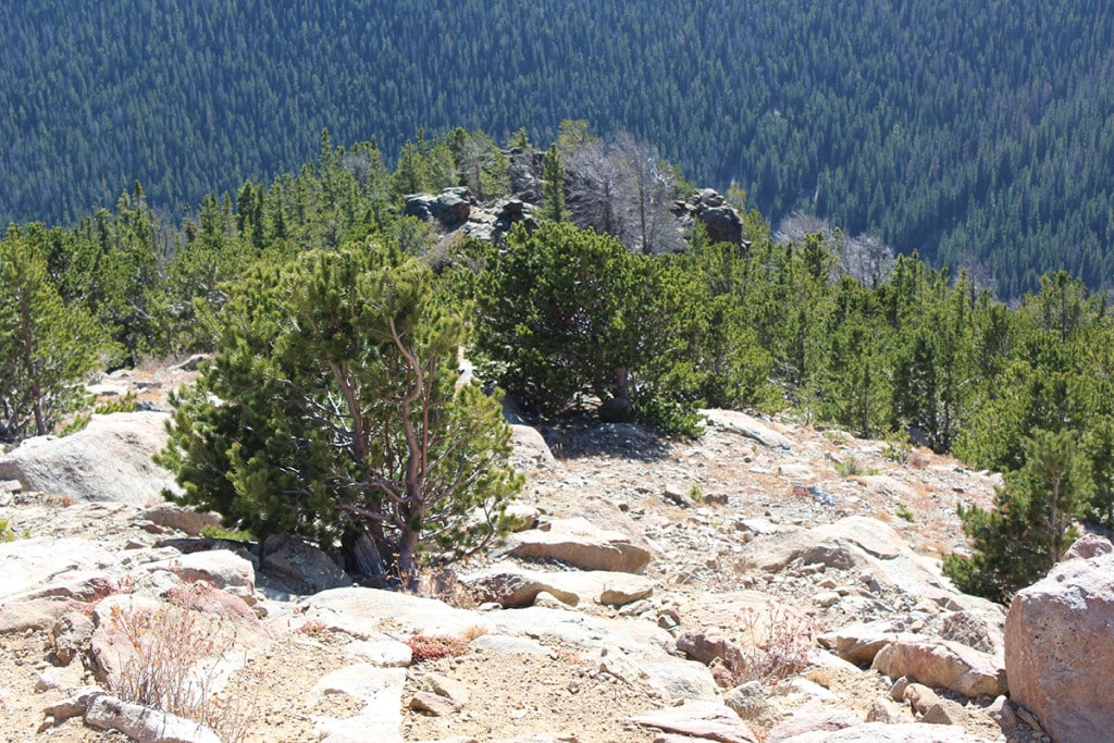 Rocky Mountain National Park
