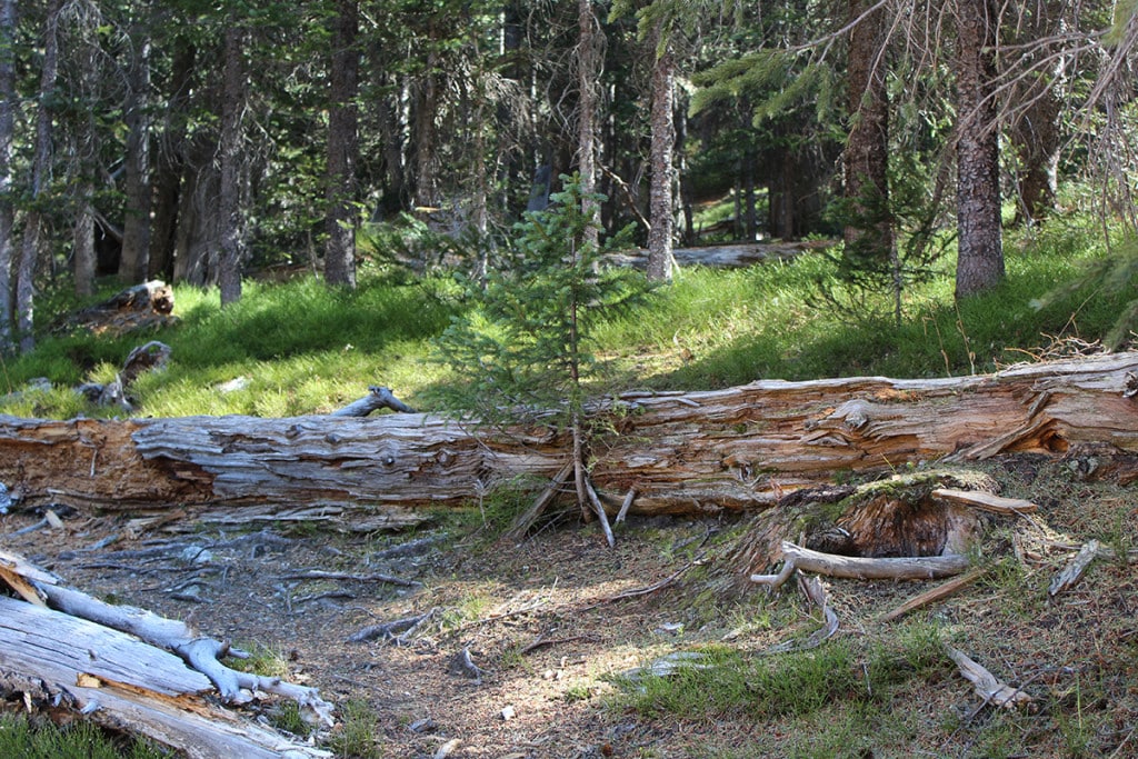 Rocky Mountain National Park
