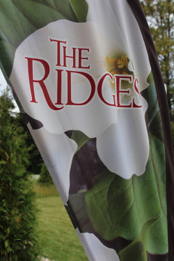The Ridges Sanctuary, Baileys Harbor, WI