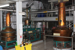Distillery Tour on Saint Lucia