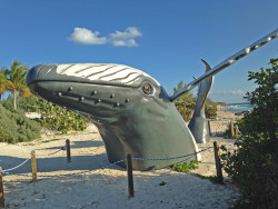 Whale sculpture at the beach at Grand Turk