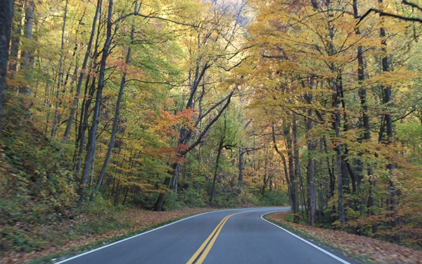 Great Smoky Mountains Cades Cove
